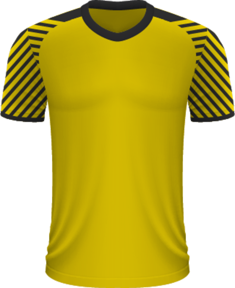 Voetbalreizen Borussia Dortmund